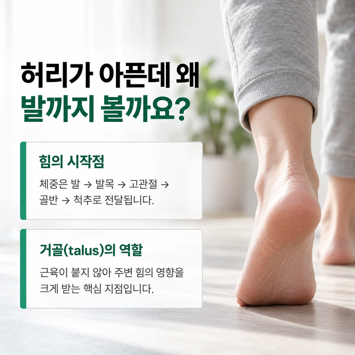 발에서 시작된 힘이 발목·고관절·골반·척추로 전달되는 과정