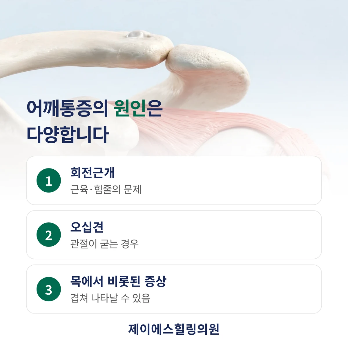 회전근개, 오십견, 목에서 비롯된 증상 등 어깨통증의 원인은 다양합니다