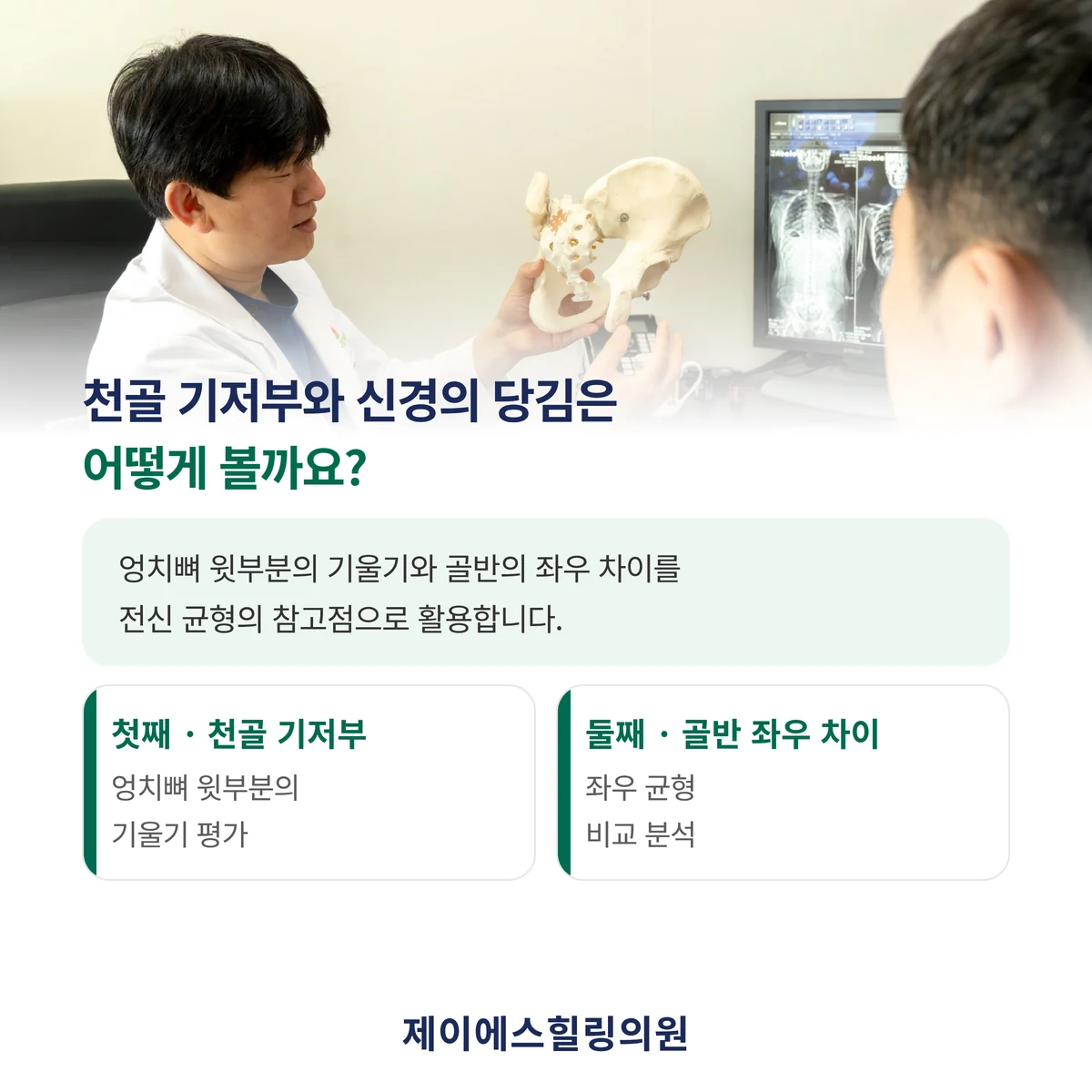 천골 기저부와 골반의 좌우 차이는 전신 균형을 살피는 참고점으로 활용합니다