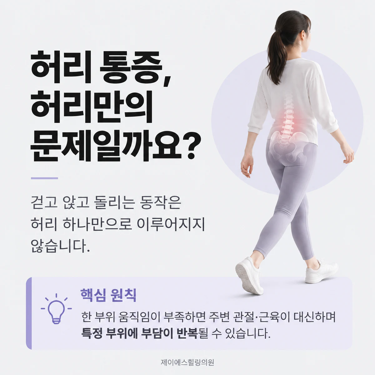 걷기와 앉기, 몸통 회전이 허리 하나만으로 이루어지지 않는다는 설명 이미지