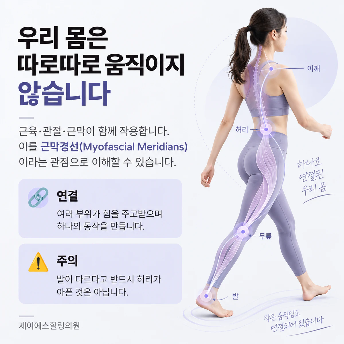 근육과 관절, 근막의 연속성을 설명하는 근막경선 이미지