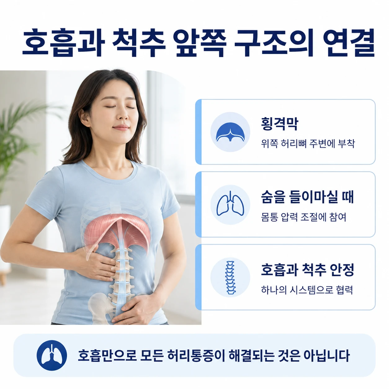 횡격막 호흡과 척추 앞쪽 구조, 몸통 안정의 관계