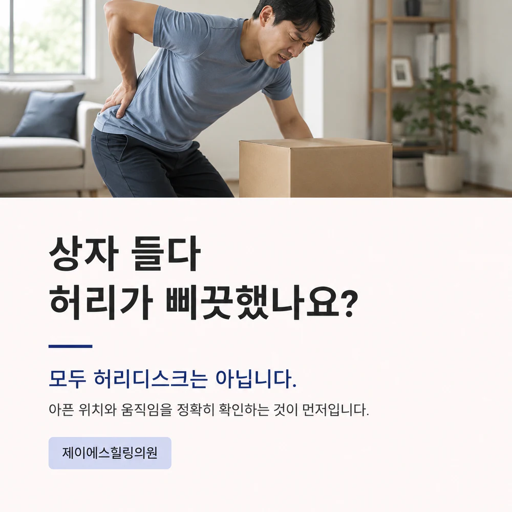 상자를 들다 생긴 허리통증이 모두 허리디스크는 아니라는 설명