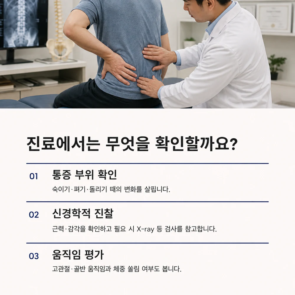 급성 허리통증 진료에서 통증 부위와 신경학적 변화와 움직임을 평가하는 과정