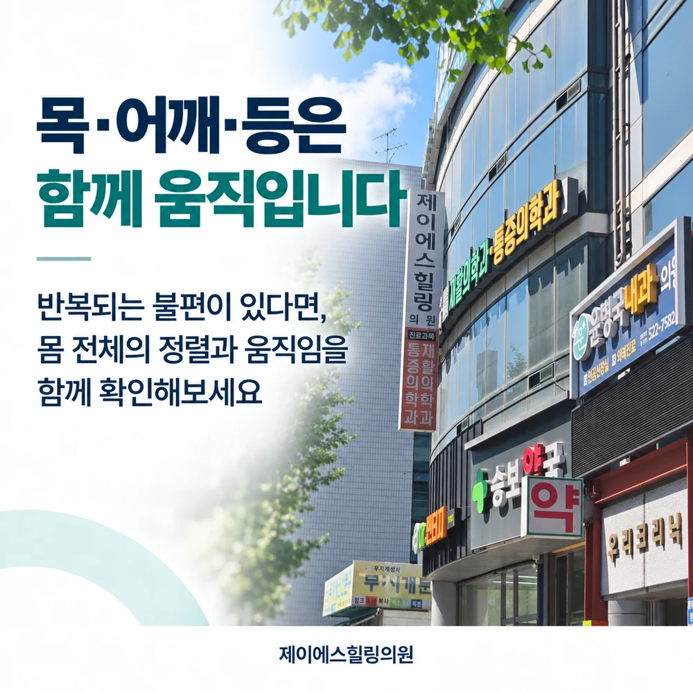 목·어깨·등은 함께 움직입니다